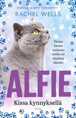 Alfie - kissa kynnyksellä