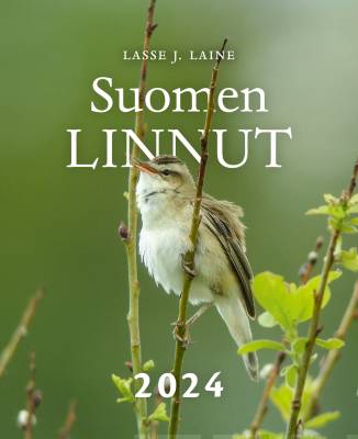 Suomen linnut seinäkalenteri 2024