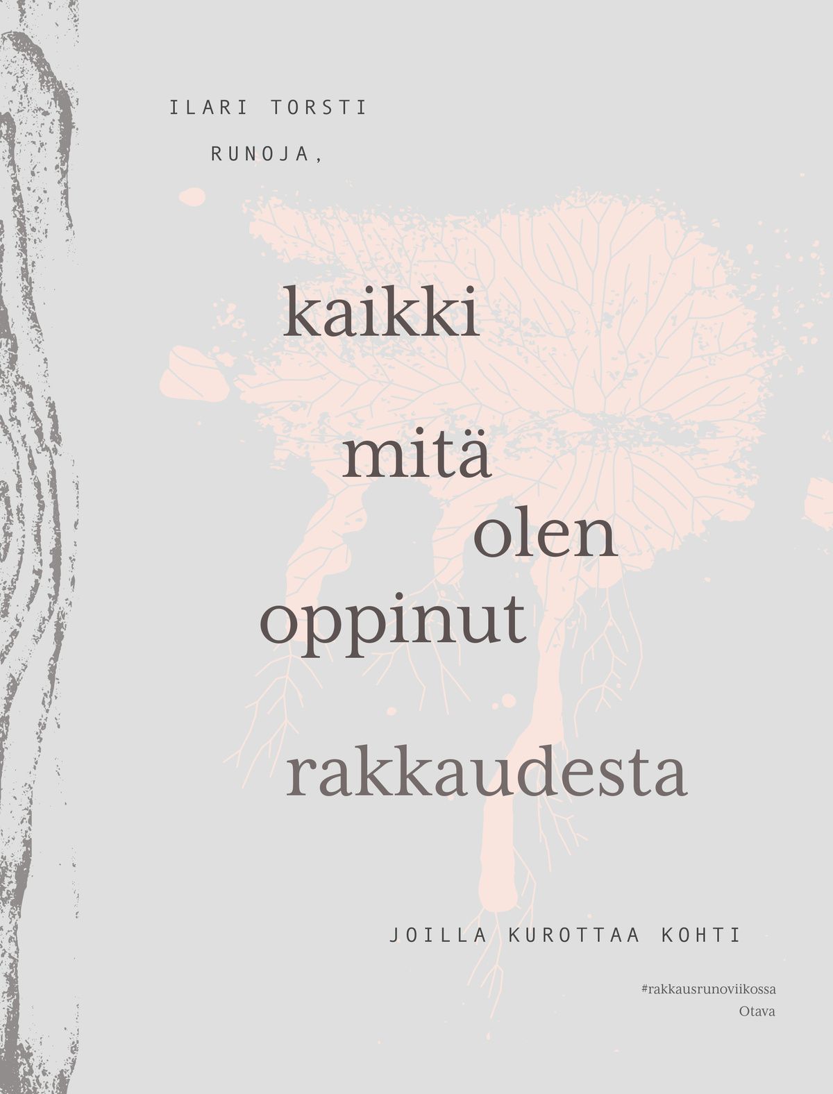 Kaikki, mitä olen oppinut rakkaudesta